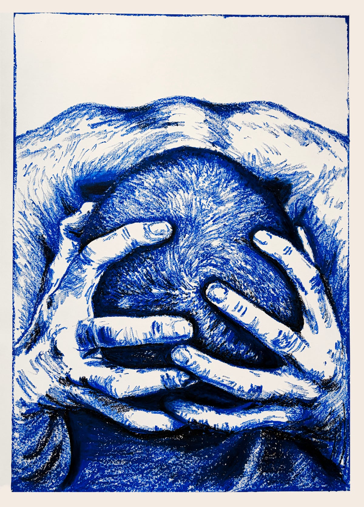 BLUE HEAD